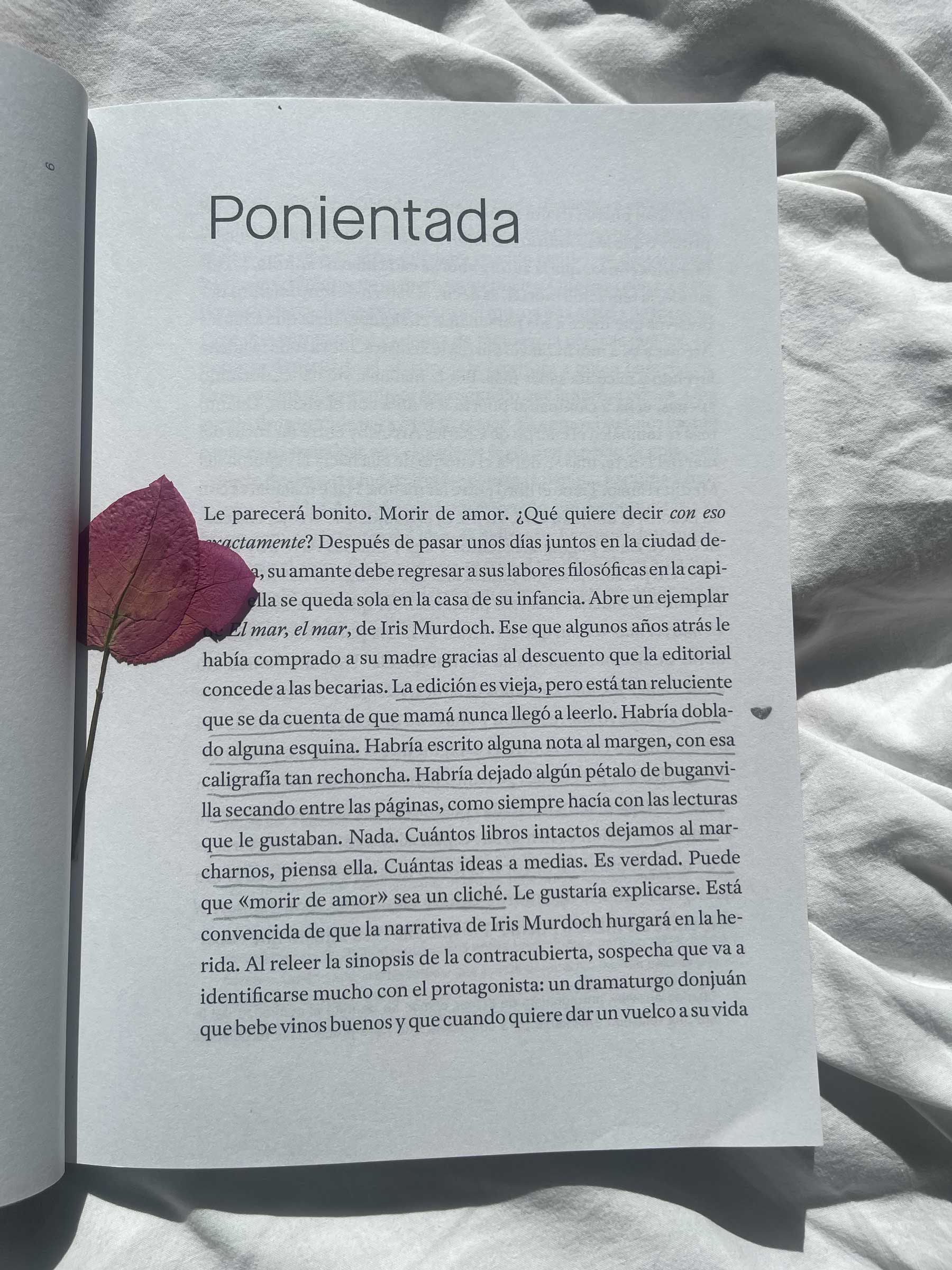 the-reading-room---leer-mata---luna-miguel-6